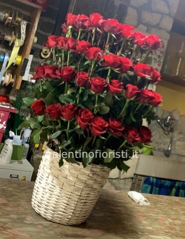 100 Rose Rosse