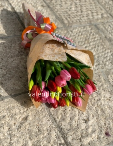 Tulipani mix color