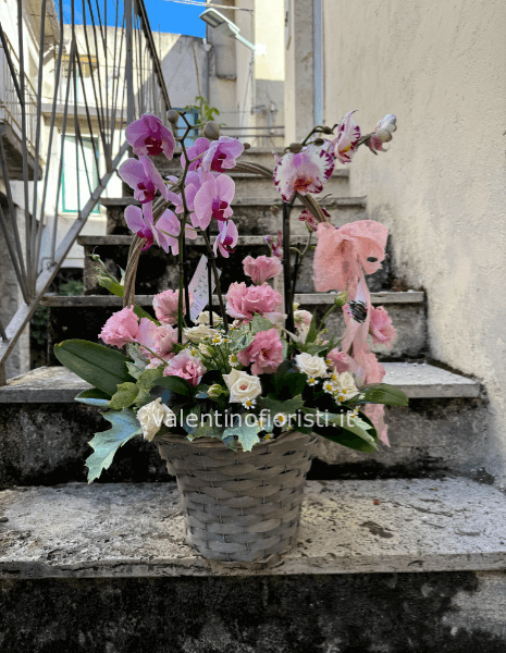 Cesto orchidea