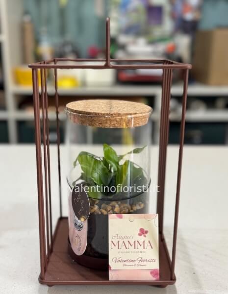 Terrarium