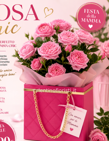 rosa chic